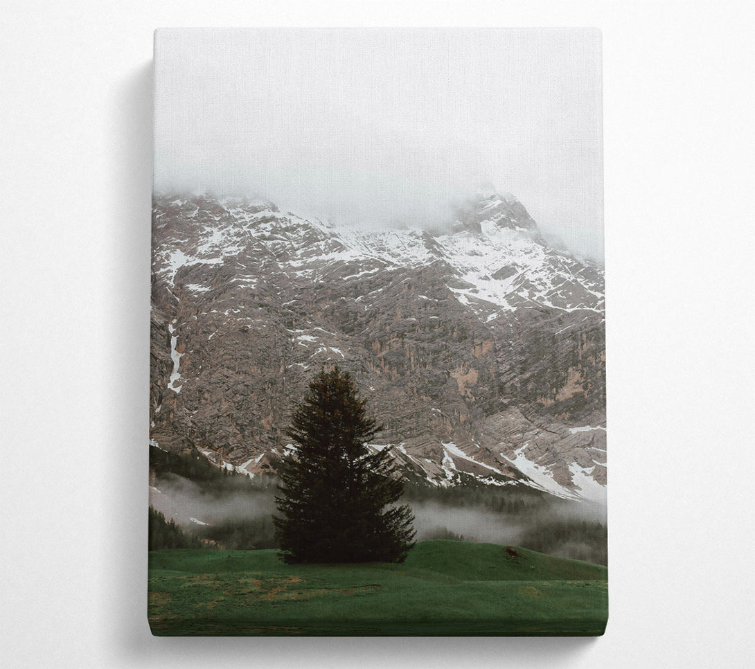  A Canvas Print of Green Mountain Solitude Canvas Art
