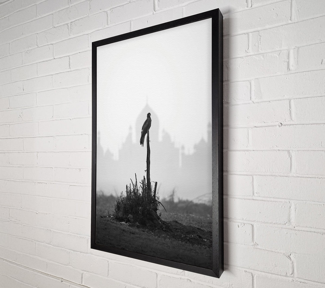  A Canvas Print of Blackbird On A Branch Canvas Wall Art