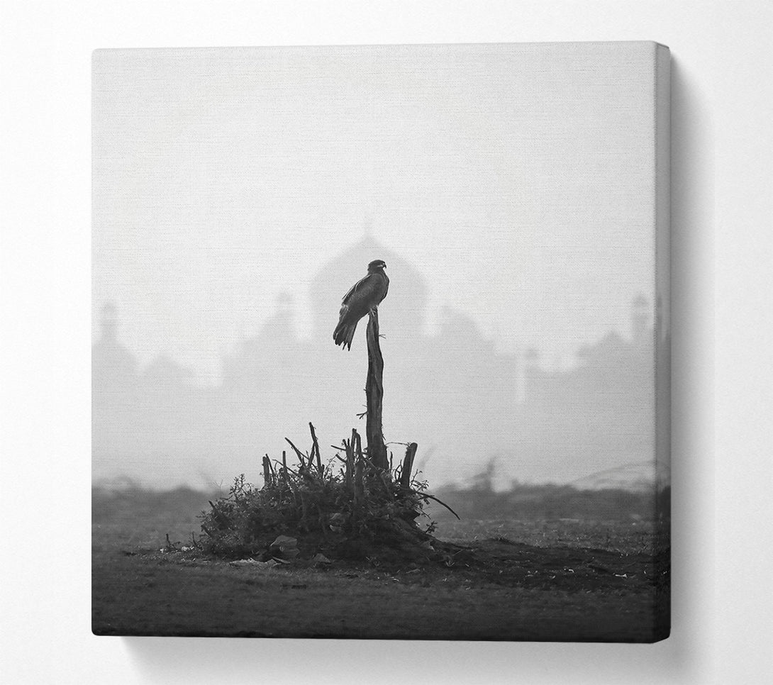  A Canvas Print of Blackbird On A Branch Canvas Wall Art
