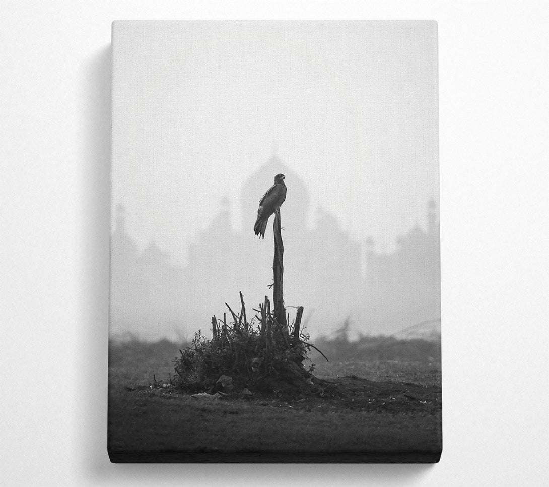  A Canvas Print of Blackbird On A Branch Canvas Wall Art