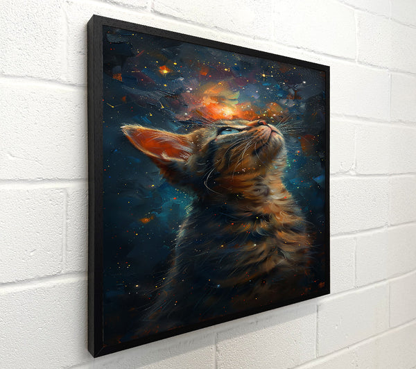 Orange Cosmic Cat