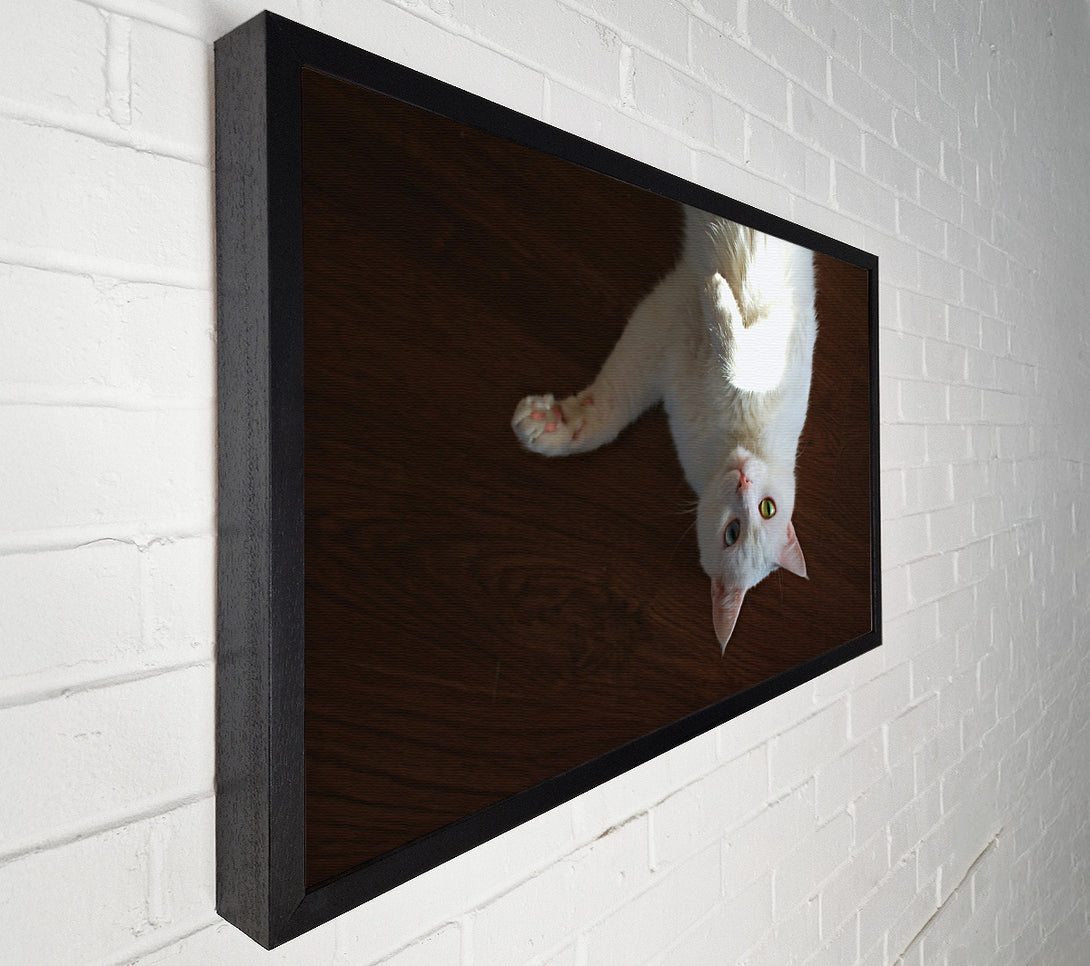  A Canvas Print of White Kitty Upside Down Canvas Wall Art
