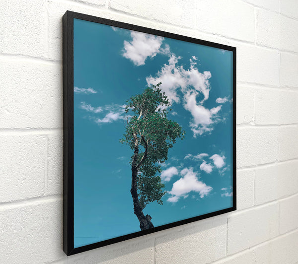 Azure Sky Reflection