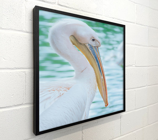 White Pelican'S Rest