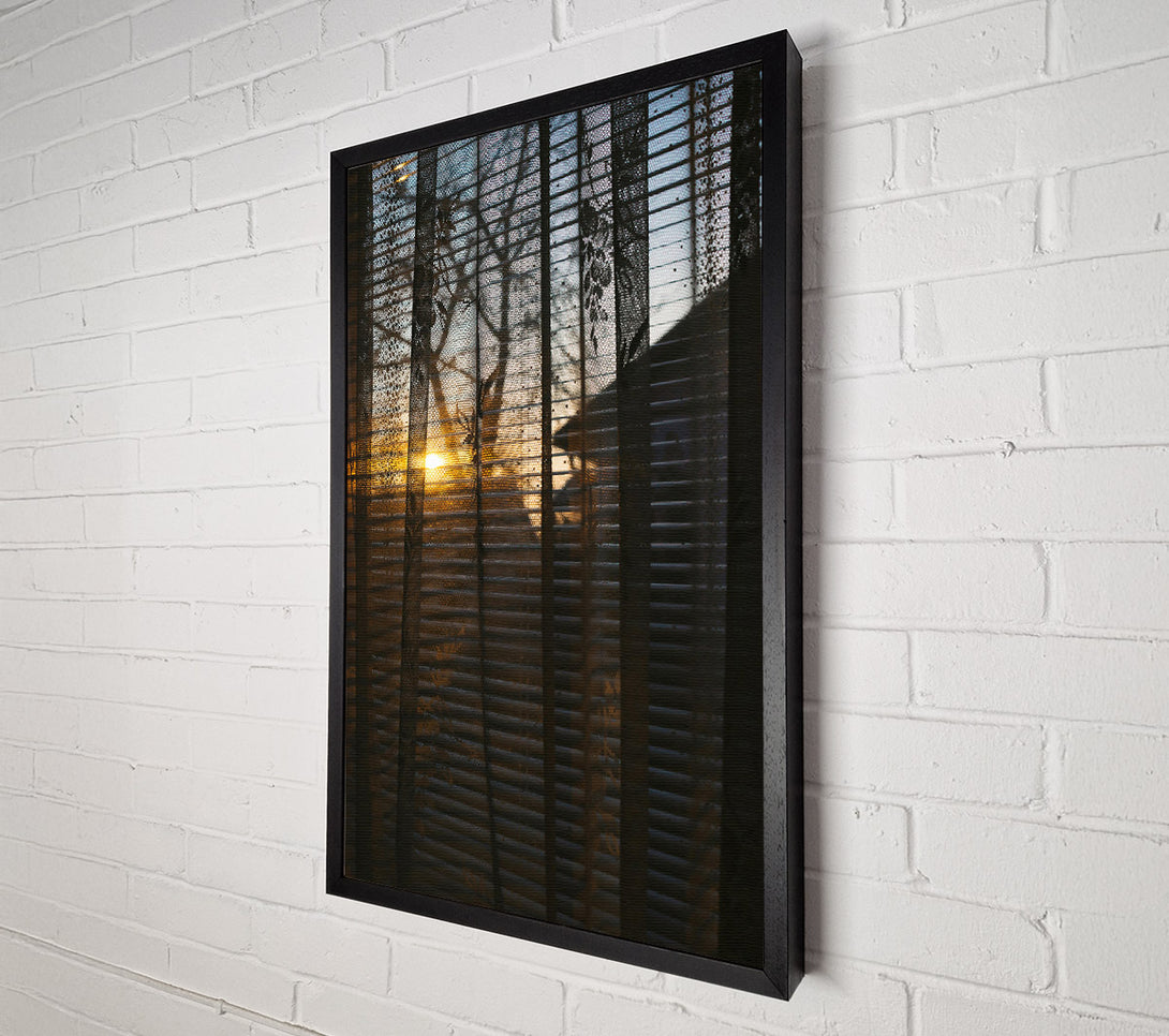  A Canvas Print of Golden Light Through Lace Canvas Print