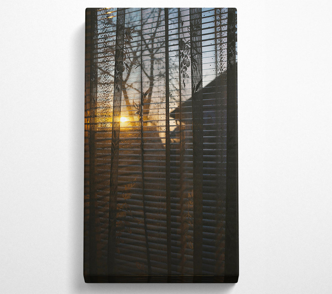  A Canvas Print of Golden Light Through Lace Canvas Print