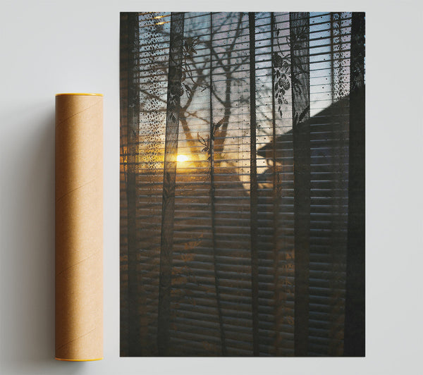 Golden Light Through Lace Poster