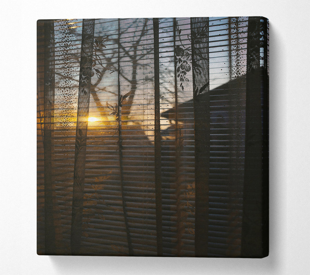  A Canvas Print of Golden Light Through Lace Canvas Print