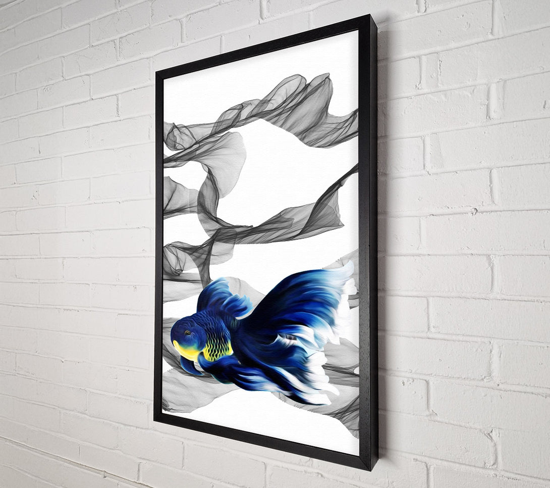  A Canvas Print of Fighting Fish Canvas Print