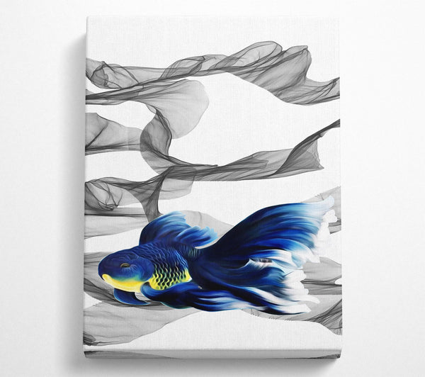  A Canvas Print of Fighting Fish Canvas Print