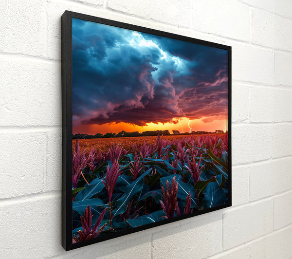 Crimson Storm Field