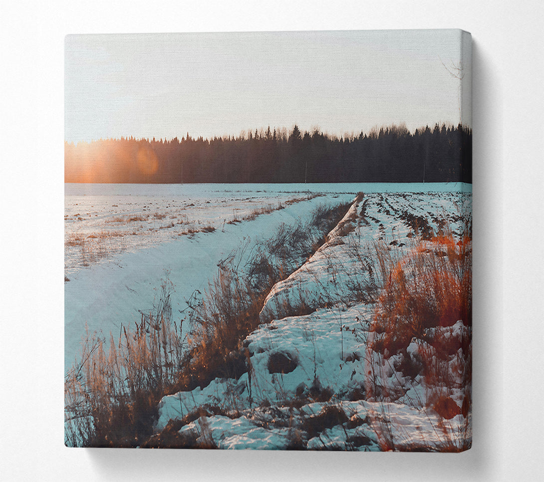  A Canvas Print of Golden Sunset Snow Canvas Print