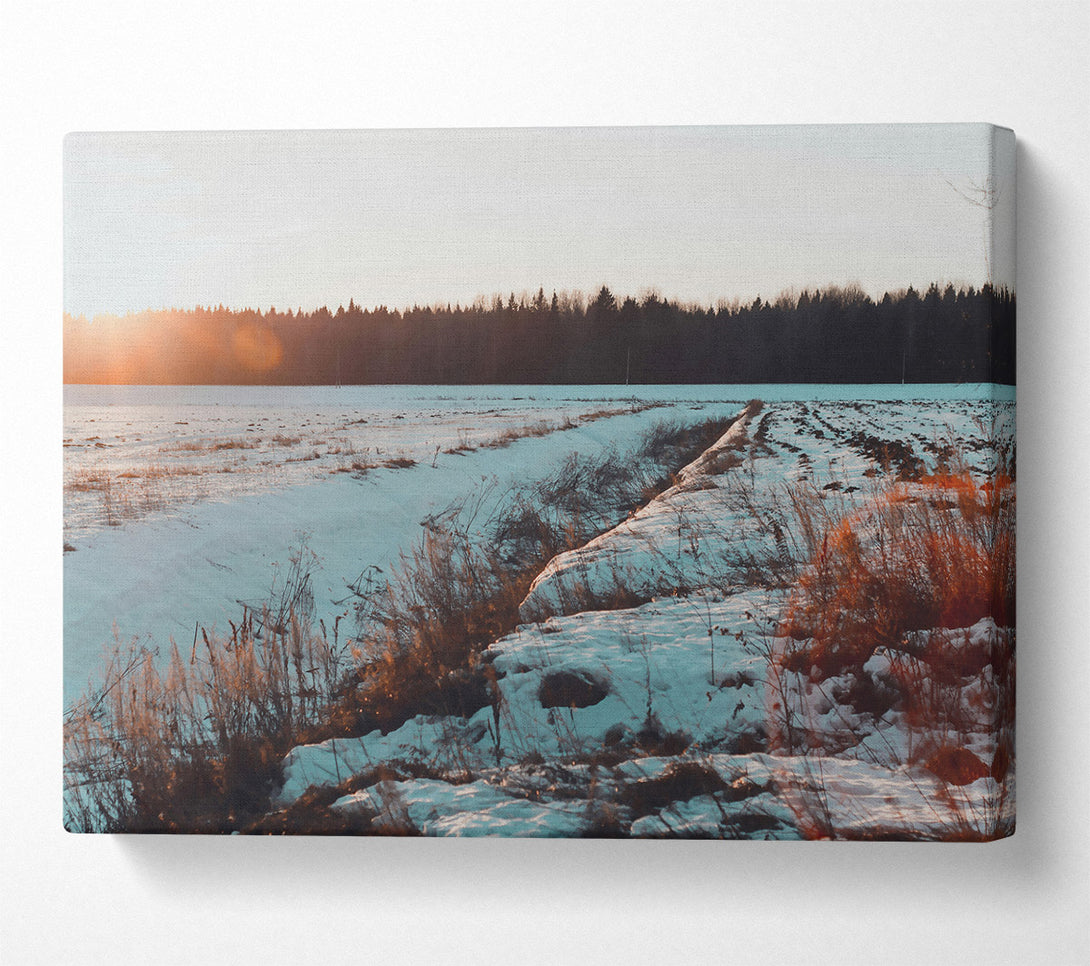  A Canvas Print of Golden Sunset Snow Canvas Print