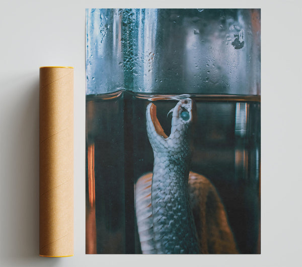 Blue Serpent In Glass Poster