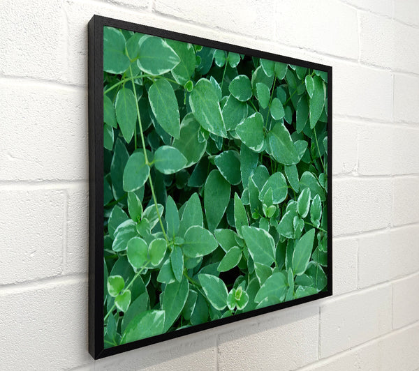 Emerald Leaf Mosaic