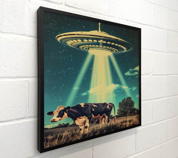 Teal Cow Abduction