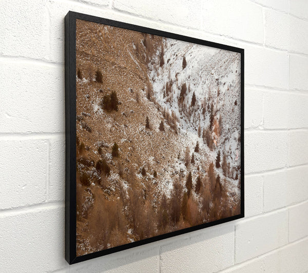 Brown Winter Landscape