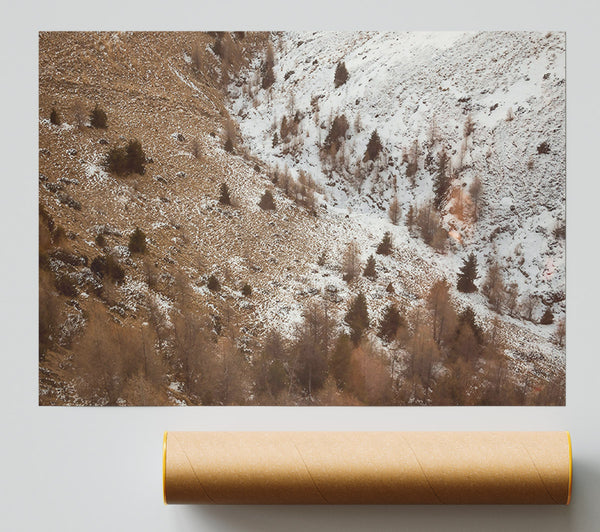Brown Winter Landscape Poster