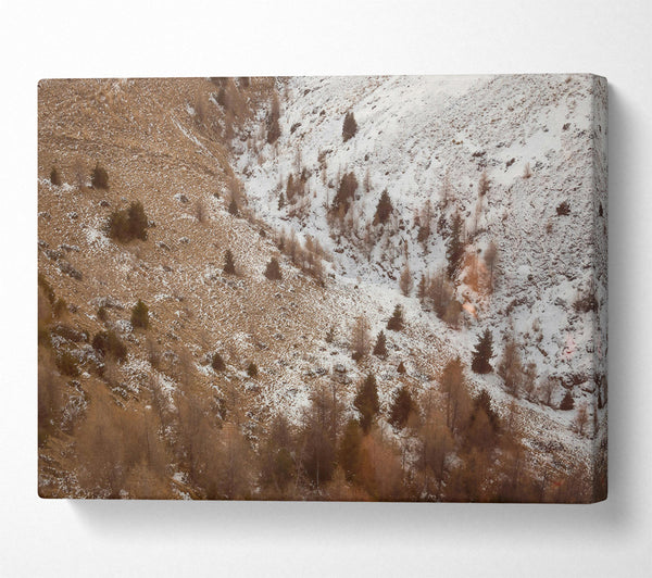  A Canvas Print of Brown Winter Landscape Canvas Print