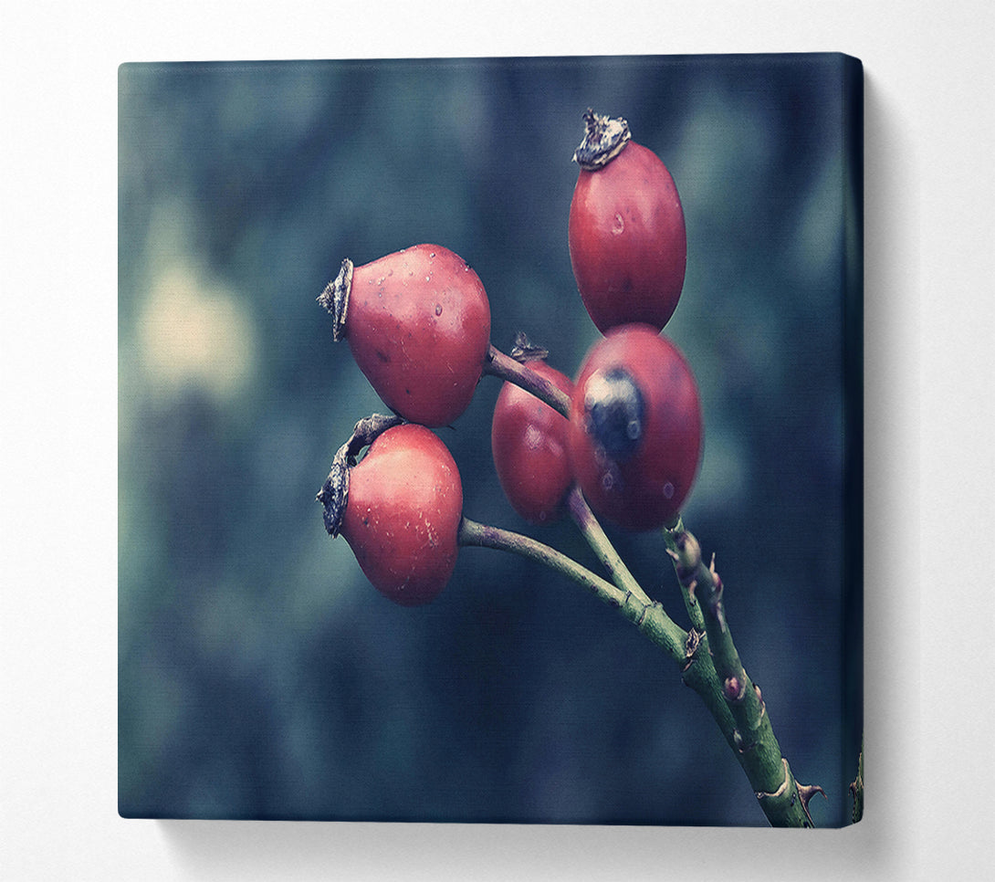  A Canvas Print of Crimson Wild Berries Canvas Art