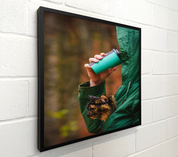 Green Coffee With Cat