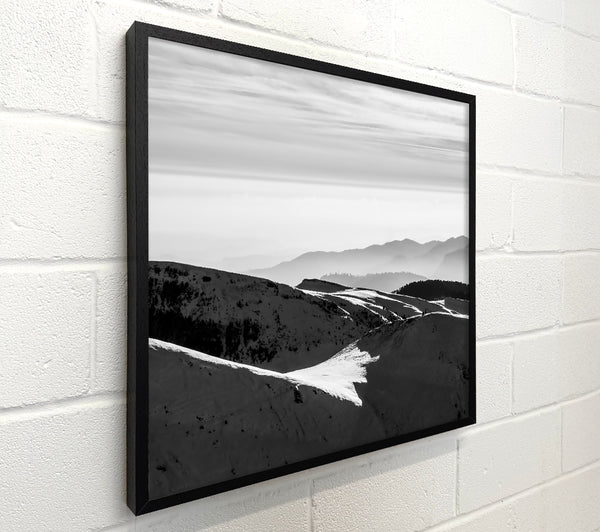 White Mountain Shadows