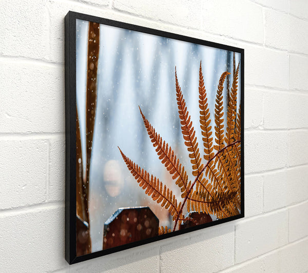 Golden Fern In Snow