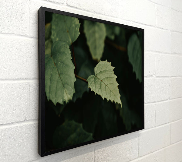 Emerald Leaf Silhouette