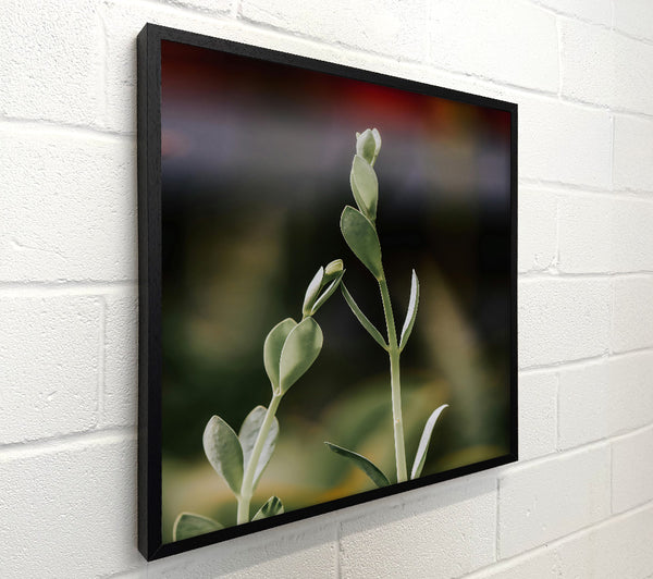 Green Stems Reaching Up