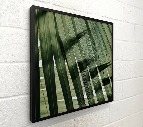 Emerald Palm Canopy