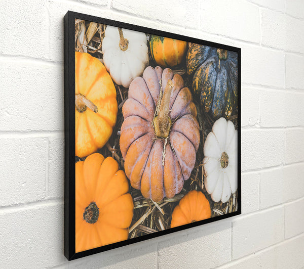 Autumn Orange Gourds