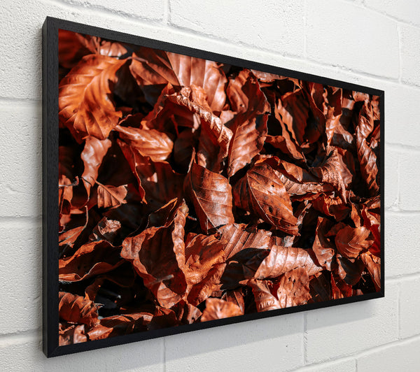 Russet Autumn Leaves