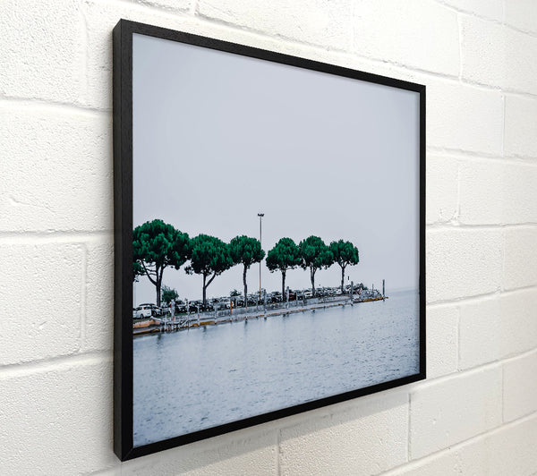 Green Trees By The Water