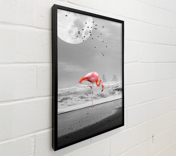 Flamingo Night Moon