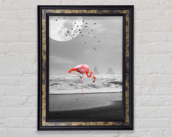 Flamingo Night Moon Framed Print