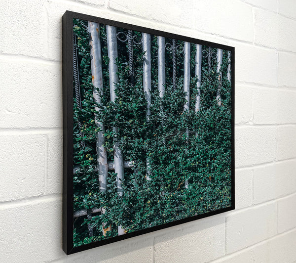 Emerald Green Fence