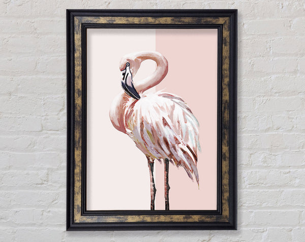 Flamingo Framed Print