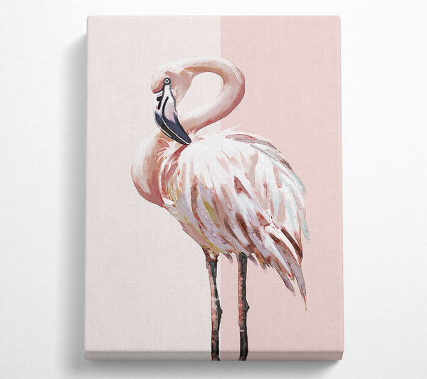  A Canvas Print of Flamingo Canvas Print