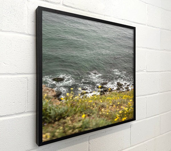Azure Coastline Bloom