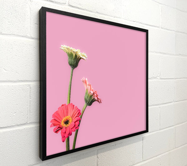 Pink Flower Trio