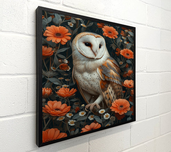 Orange Owl'S Bloom