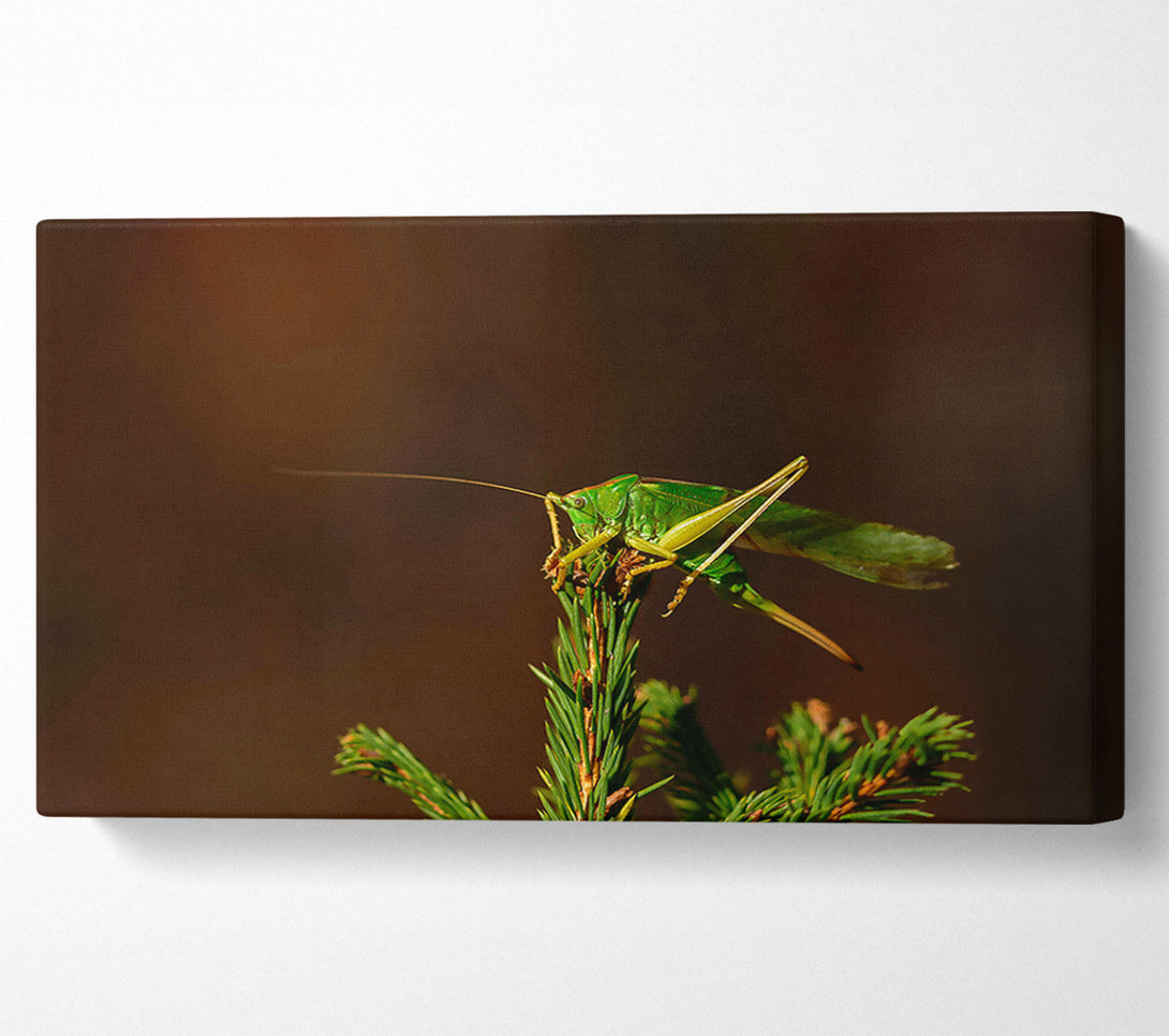  A Canvas Print of Emerald On A Branch Canvas Wall Art