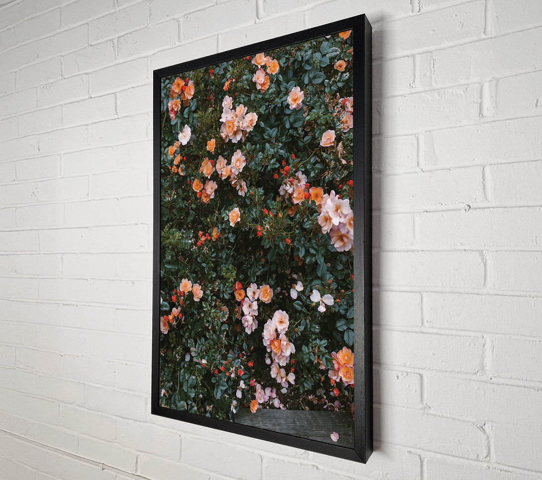  A Canvas Print of Flower Bush Canvas Print
