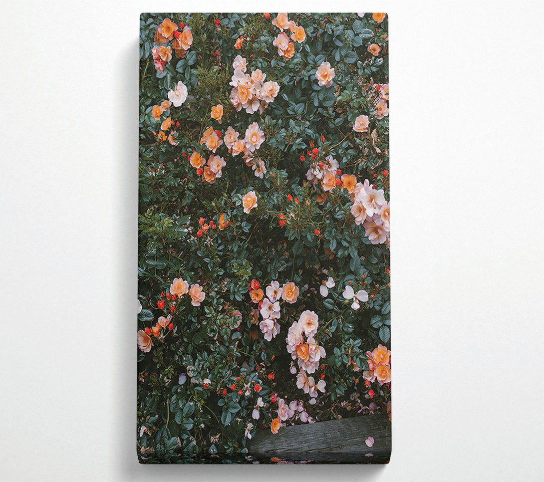  A Canvas Print of Flower Bush Canvas Print