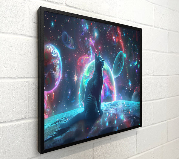 Blue Cat In Space