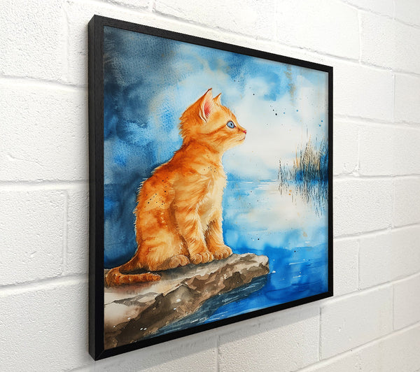 Orange Cat By The Water
