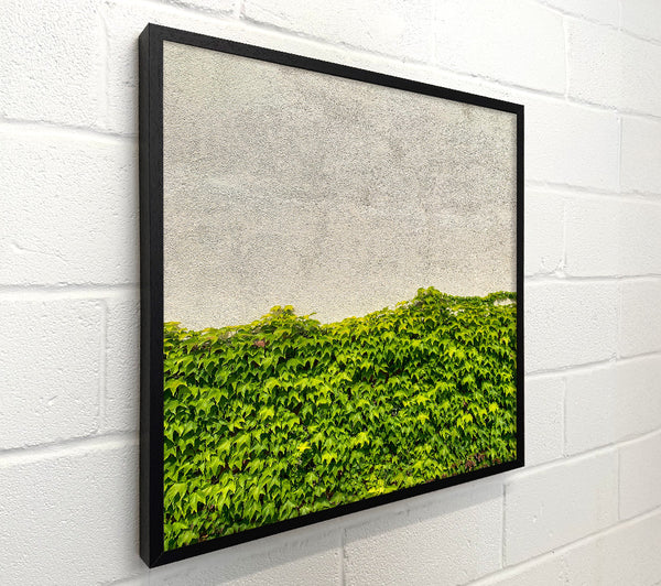 Green Wall Of Life