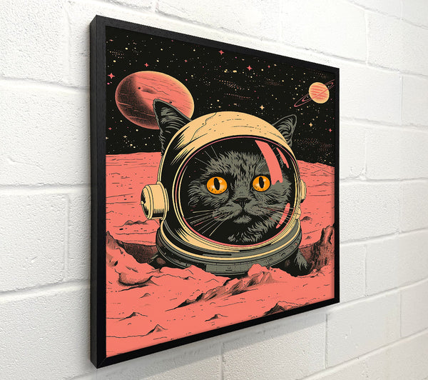 Red Cat Astronaut