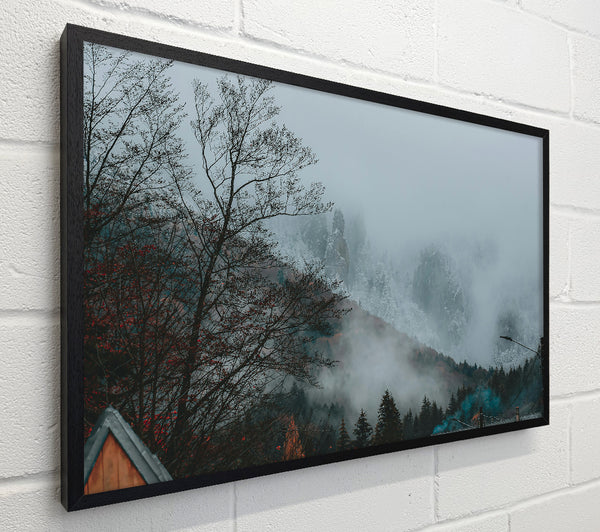 Blue Mountain Mist