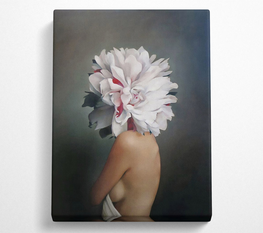  A Canvas Print of Flower Head Canvas Print